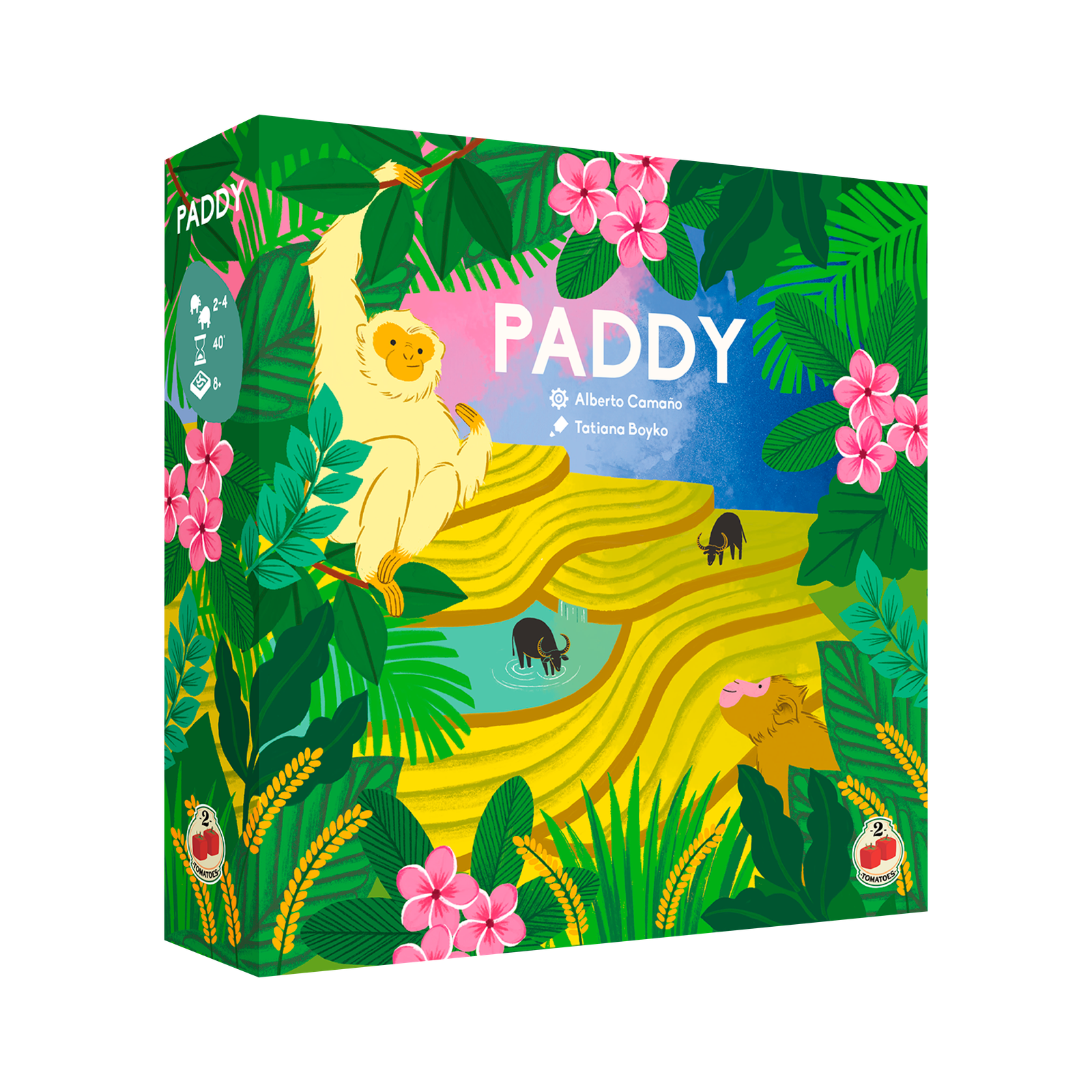Paddy